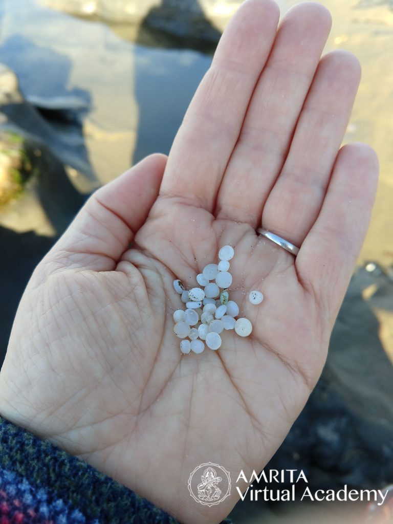 plastic nurdles