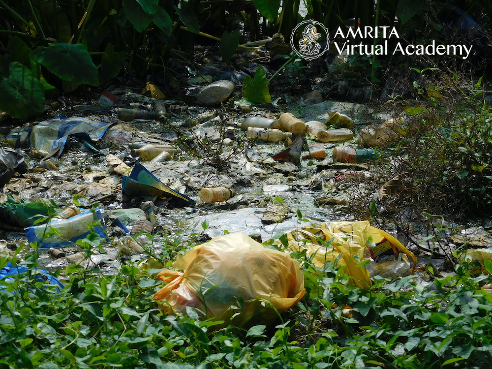 plastic waste in nature