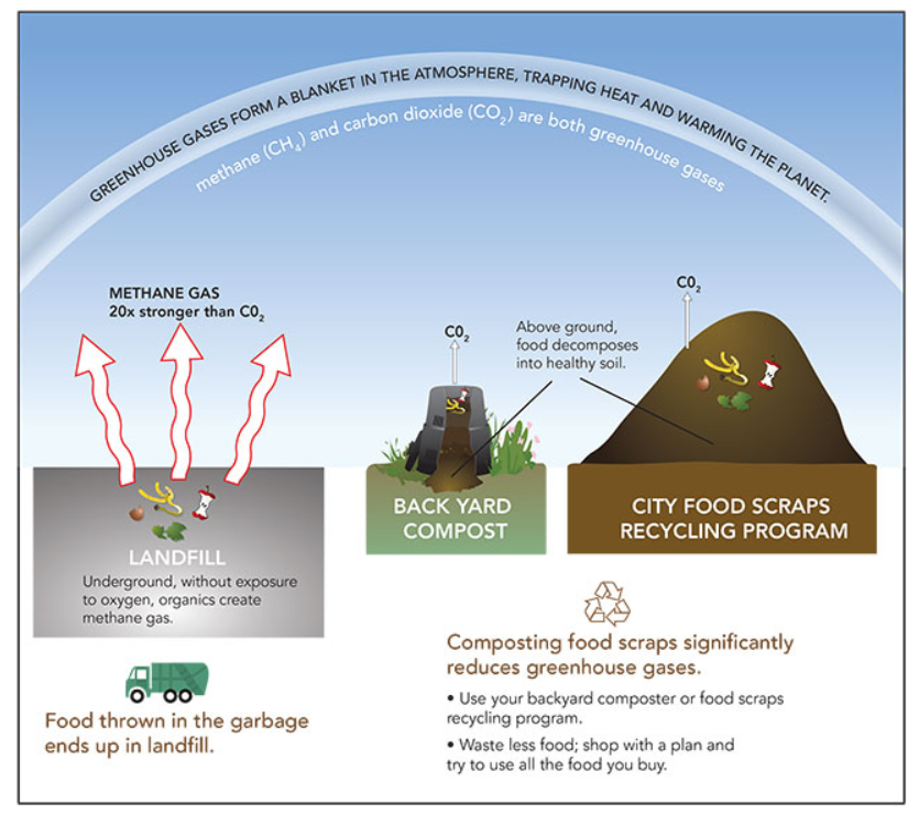 4 compost process