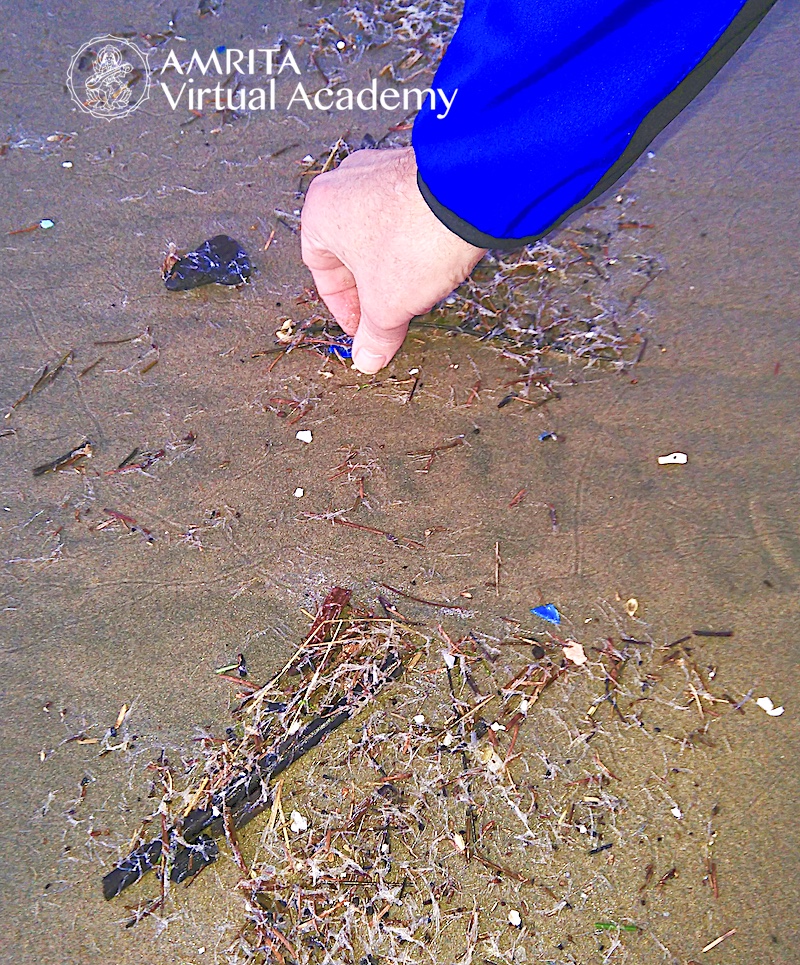 microplastics on beach