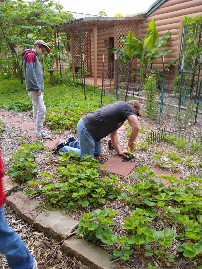 Working in Organic Garden