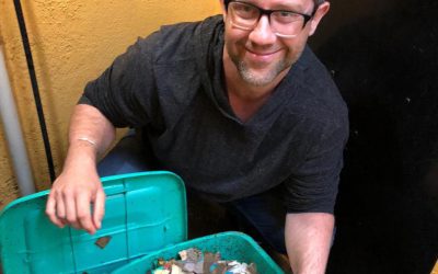 Urban Composting: Making A Red Wriggler Worm Compost Bin