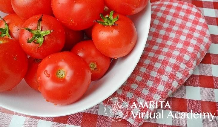 How To Grow Delicious Tomatoes, Part 2