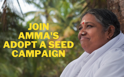 Amma’s Adopt a Seed Campaign