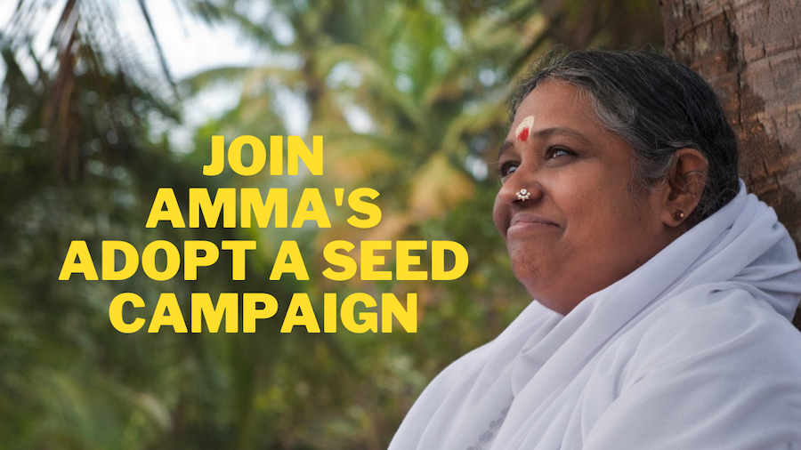 Amma’s Adopt a Seed Campaign