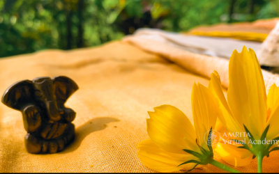 The Art of Natural Plant Dyeing