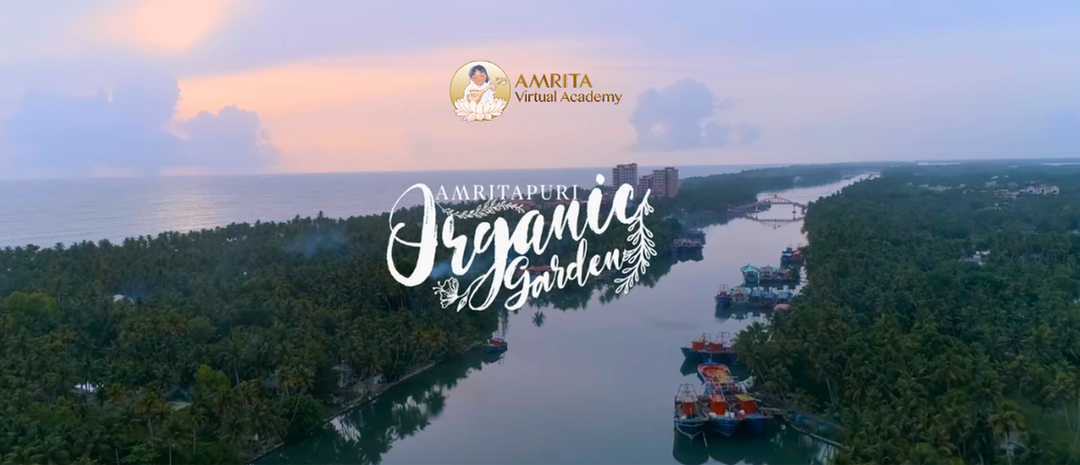 Inspired by Amrita Virtual Academy and the Amritapuri Gardens