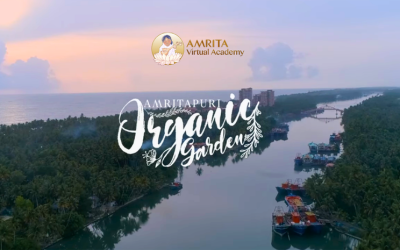 Inspired by Amrita Virtual Academy and the Amritapuri Gardens